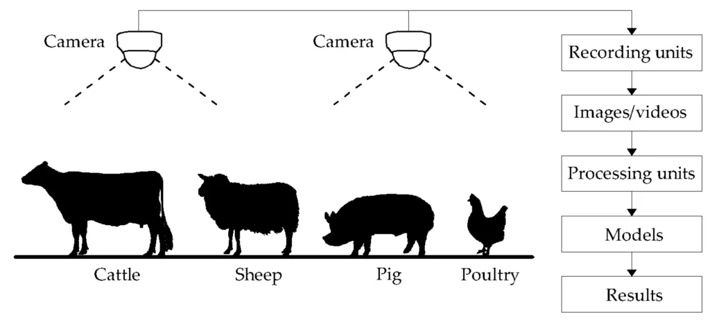 Integrating computer vision into livestock farming