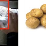 17 ScanWatch theft prevention stolen chips