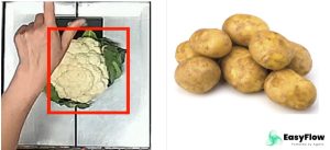 5 ScanWatch theft prevention stolen Cauliflower
